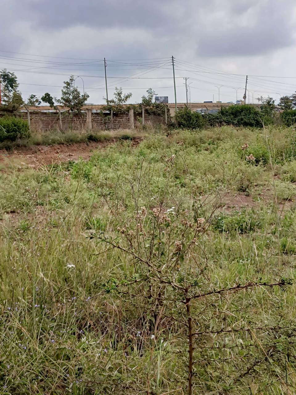 Forest Road, Varsity Ville Estate