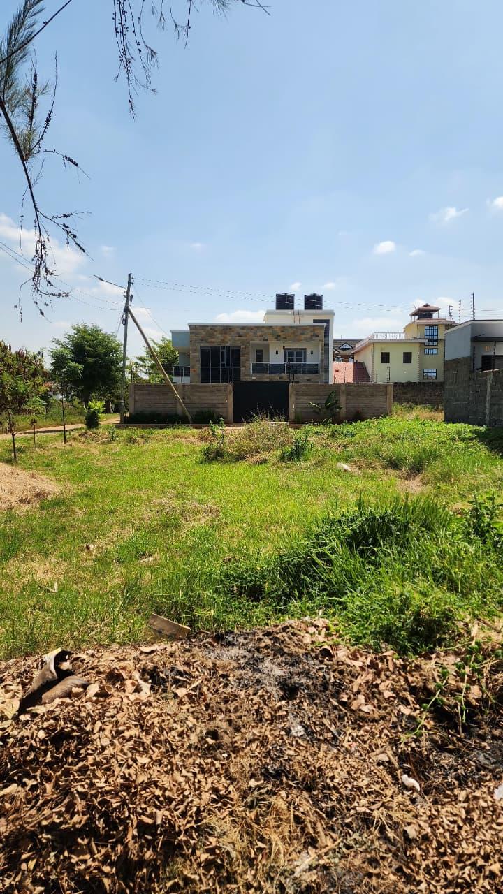 Wingspan Estate, Kamakis Corner