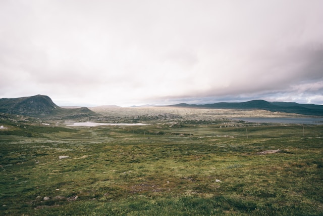 Land Investment